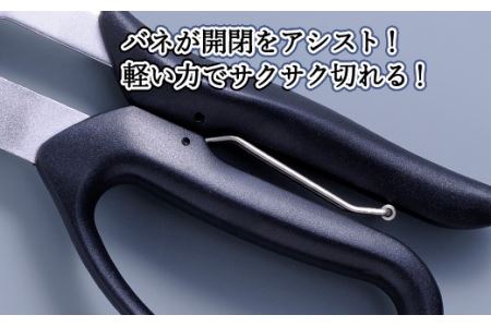 H9-103 ALLEX スーパーハードはさみ【波板用】一枚刃はさみ(SH-3 17213)