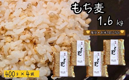 もち麦 【1.6kg】 そのままごはんと一緒にすぐ炊ける 8ぶづき ～栽培期間中 化学肥料 農薬不使用～G15-11