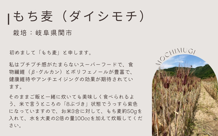 もち麦 【1.6kg】 そのままごはんと一緒にすぐ炊ける 8ぶづき ～栽培期間中 化学肥料 農薬不使用～G15-11