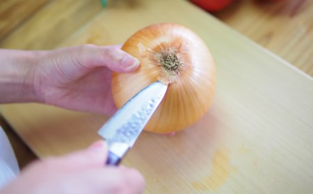 H15-71 【★海外限定モデル】和 NAGOMI エコ 鎚目ダマスカス包丁 パーラー 100mm【最長6ヶ月を目安に発送】