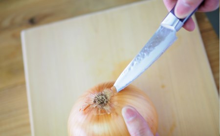 H15-71 【★海外限定モデル】和 NAGOMI エコ 鎚目ダマスカス包丁 パーラー 100mm【最長6ヶ月を目安に発送】