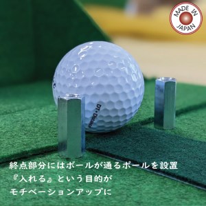 D15-10 ゴルフ ベント芝レールパターマット	 ～ゴルフ 練習 パター練習 ゴルフ練習器具 パッティング オプション パターレール パッティング練習マット～