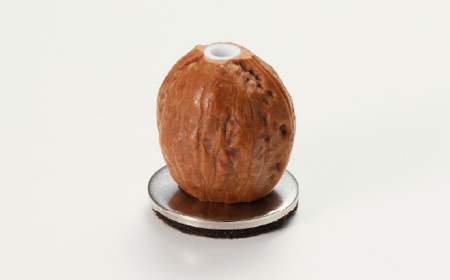 チタン製木目“極”耳かき （天然くるみスタンド付き） ～年間40万本の耳かきを製造する関市の町工場が製作～