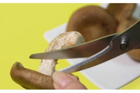 刃先を浮かせて置けるキッチンバサミ