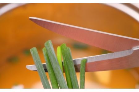 キッチンハサミ　CURVEST　グリーン　キッチンハサミ