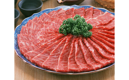 飛騨牛 ロース肉 焼肉用 750g 49-010