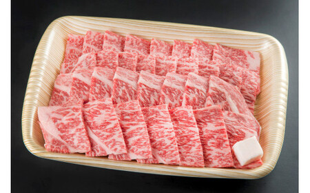 飛騨牛 ロース肉 焼肉用 750g 49-010