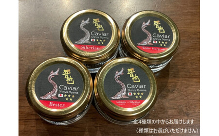 中津川キャビア S Caviar 食べ比べ2種 100-005