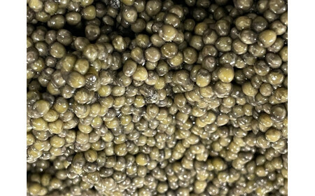 中津川キャビア S Caviar  食べ比べ2種（オシェトラ＋1種） 110-005