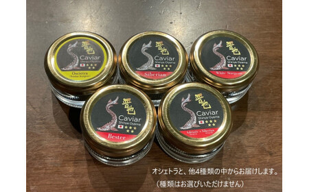 中津川キャビア S Caviar  食べ比べ3種（オシェトラ＋2種） 160-002