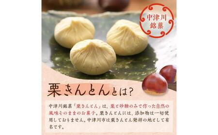 中津川銘菓「栗きんとん使用」栗粉餅6個入×3箱 [秋季限定] 栗 くり くりきんとん 餅 和菓子 菓子 スイーツ 秋 限定 冷凍 岐阜県 F4N-1026