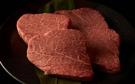 飛騨牛 ステーキ用 シャトーブリアン150g×3 鉄板焼き 網焼き 焼肉 バーベキュー BBQ F4N-1633