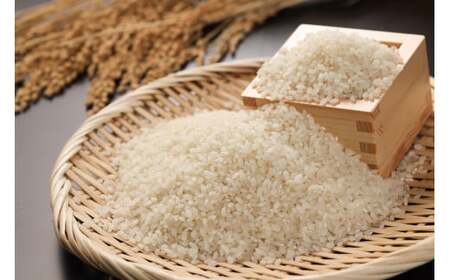 ＜テレビで紹介されました！＞令和7年度　新米【全3回定期便】皇室献上米『銀の朏』1kg 中津川市加子母産 栽培期間中化学肥料不使用 F4N-1866