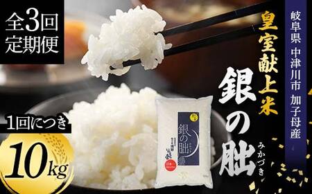 ＜テレビで紹介されました！＞令和7年度 新米【全3回定期便】皇室献上米『銀の朏』10kg 中津川市加子母産 栽培期間中化学肥料不使用 お米 新米 精米 F4N-1870