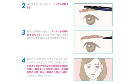 ラシンシア オートマチック アイブロウペンシル（チャコールブラウン）繰り出し式 ぼかしチップ付き ナチュラル眉仕上げ 日本製 化粧品 メイク F4N-2349