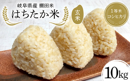 岐阜県産 棚田米 1等米コシヒカリ はちたか米 玄米10kg（5kg×2袋） F4N-2629