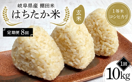 【8回定期便】岐阜県産 棚田米 1等米コシヒカリ はちたか米 玄米10kg（5kg×2袋） F4N-2635