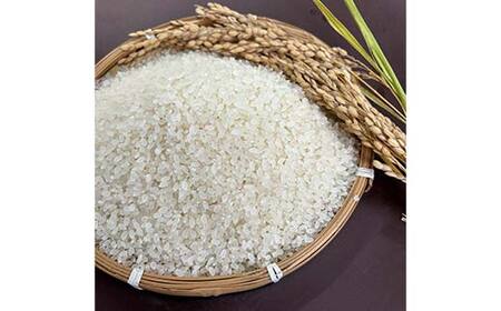 加子母産「いのちの壱」2kg F4N-2717