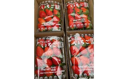【数量限定】産地直送!!めぐりーんの完熟いちご(章姫) 4パック F4N-2735