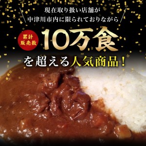 10178 飛騨牛ビーフカレー中辛4個セット