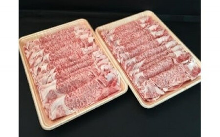 「肉の芸術品」飛騨牛すき焼き用（肩ロース肉）250g×2パック