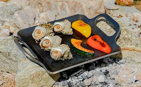 厚板鉄板IF型 F4N-2343