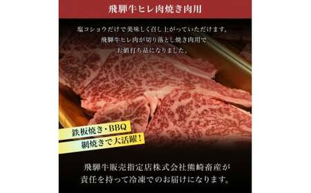 【希少部位】飛騨牛ヒレ切り落とし肉焼肉用500g 38-005