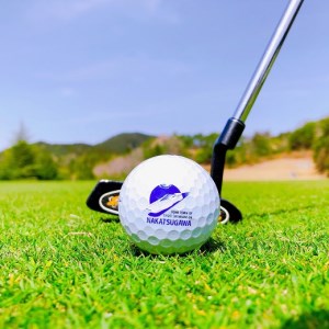18014 【ふるさと納税限定】ブリヂストンゴルフボール TOUR B XS イエロー 1ダース 中津川市オリジナルリニアロゴ入り