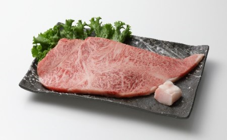 【数量限定！チルド（冷蔵）発送！】「飛騨牛」A5等級サーロインステーキ 200g 鉄板焼き 網焼き 焼肉 バーベキュー BBQ 10227