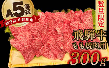 【数量限定！チルド（冷蔵）発送！】「飛騨牛」A5等級もも 300g 鉄板焼き 網焼き 焼肉 バーベキュー BBQ F4N-1226 10,800円