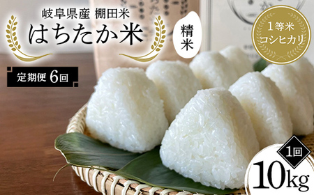 【6回定期便】岐阜県産 棚田米 1等米コシヒカリ はちたか米 精米10kg（5kg×2袋） F4N-2591