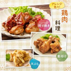 産地直送!恵那どり お試し4種 8パックセット 冷凍 F4N-2398