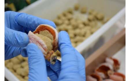 【2026年2月お届け】 御菓子所 川上屋 柿の美きんとん 10個入り F4N-1902