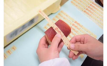 【2026年2月お届け】 御菓子所 川上屋 柿の美きんとん 10個入り F4N-1902