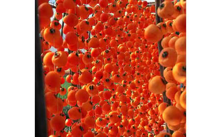 【2026年2月お届け】 御菓子所 川上屋 柿の美きんとん 10個入り F4N-1902