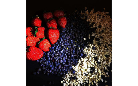 【中津川蒸溜所】NAKATSU GIN (ジン) いちご 500ml F4N-0963