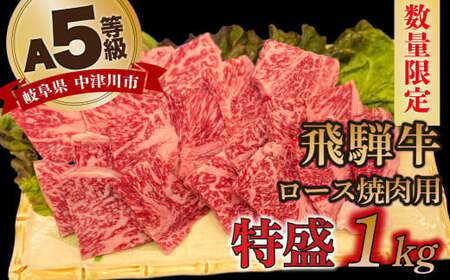 【数量限定!チルド(冷蔵)発送!】「飛騨牛」A5等級 ロース 1kg 鉄板焼き 網焼き 焼肉 バーベキュー BBQ 50052