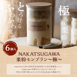 NAKATSUGAWA栗粉モンブラン~極0.3mm~(6個入り) 26005
