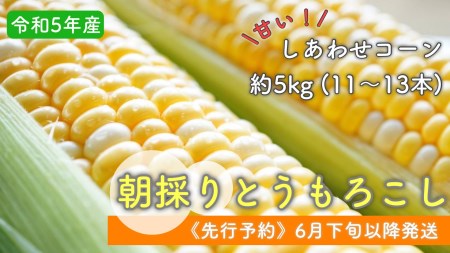 【2023年6月下旬より発送開始】 令和5年度産 朝採れとうもろこし(しあわせコーン) 約5kg 8044