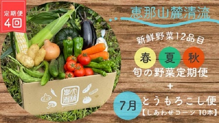 【2023年5月より発送開始】 採れたて!4回の野菜定期便(5月~10月)~春夏秋の旬の野菜(7-9品目)と中津川産とうもろこし~ 28004