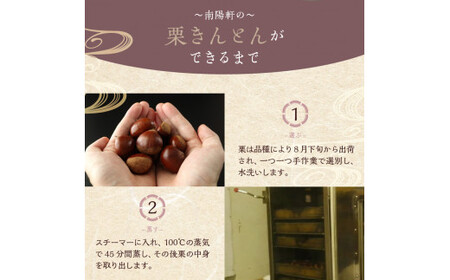 <老舗 くり屋南陽軒> 栗きんとん 30個入 F4N-1588