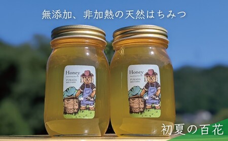 天然蜂蜜 国産蜂蜜 非加熱 生はちみつ 合計1200g 岐阜県 美濃市産 5/31