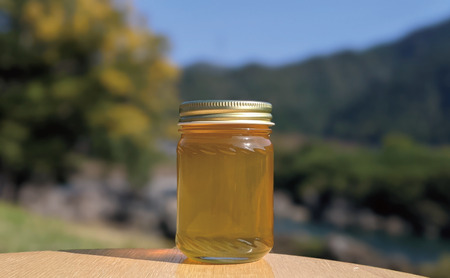 150g 天然蜂蜜 国産蜂蜜 非加熱 生はちみつ 岐阜県 美濃市産 5月採蜜