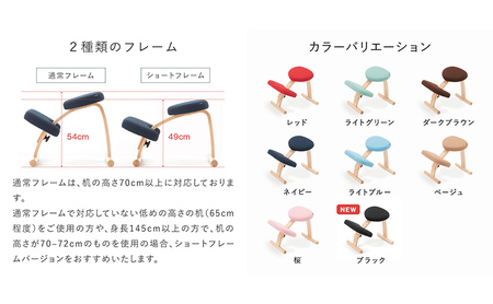 椅子 バランスイージー カバー付き イージーライティングボード L セット 選べる フレーム カラー ショートLブルー+Sブルー