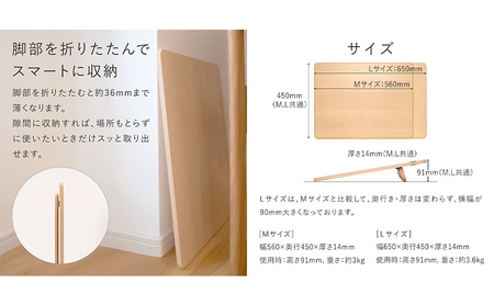 椅子 バランスイージー カバー付き イージーライティングボード L セット 選べる フレーム カラー ショートLブルー+Sブルー