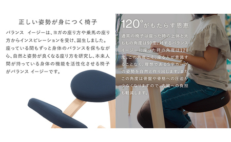 椅子 バランスイージー カバーなし 選べる フレーム カラー 姿勢矯正 インテリア 家具 通常ブラック