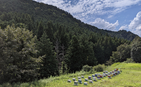 蜜蝋ワックス 養蜂家が作るミツロウワックス 25g