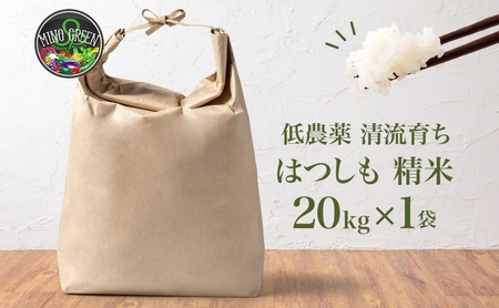 令和7年産 はつしも 精米 20kg×1袋 低農薬 新米 お米 白米 米 ごはん 米 ご飯 ハツシモ R7年産 あっさり ブランド米 お取り寄せ 産地直送 送料無料 美濃グリーン 岐阜県 美濃市