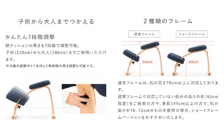 椅子 バランスイージー カバー付き 選べる フレーム カラー 姿勢矯正 インテリア 家具 ショートブラック＋ブラック