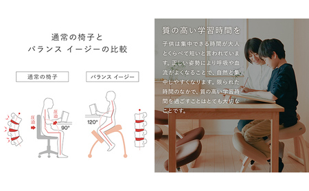 椅子 バランスイージー カバーなし 選べる フレーム カラー 姿勢矯正 インテリア 家具 ショートブラック